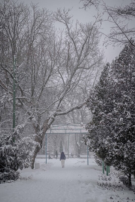 Зима в парке - Константин Бобинский