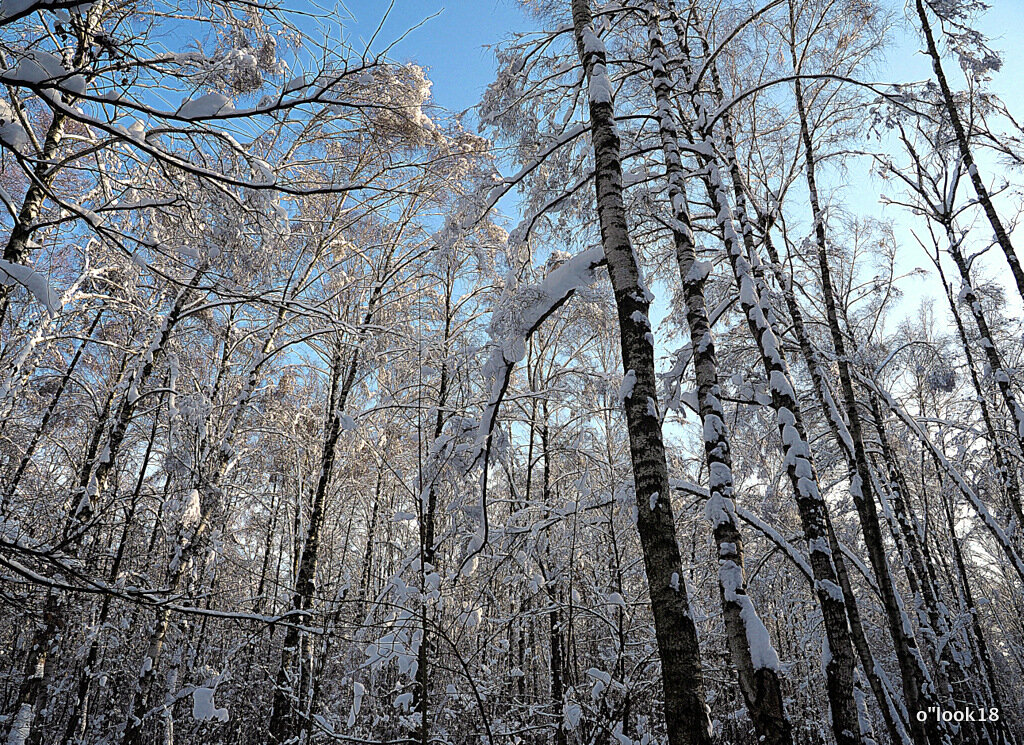 легкость снега и свежесть воздуха - Олег Лукьянов