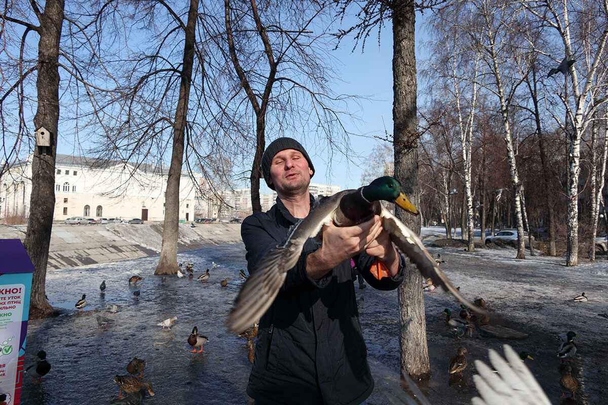 *** - Валерий Михмель 