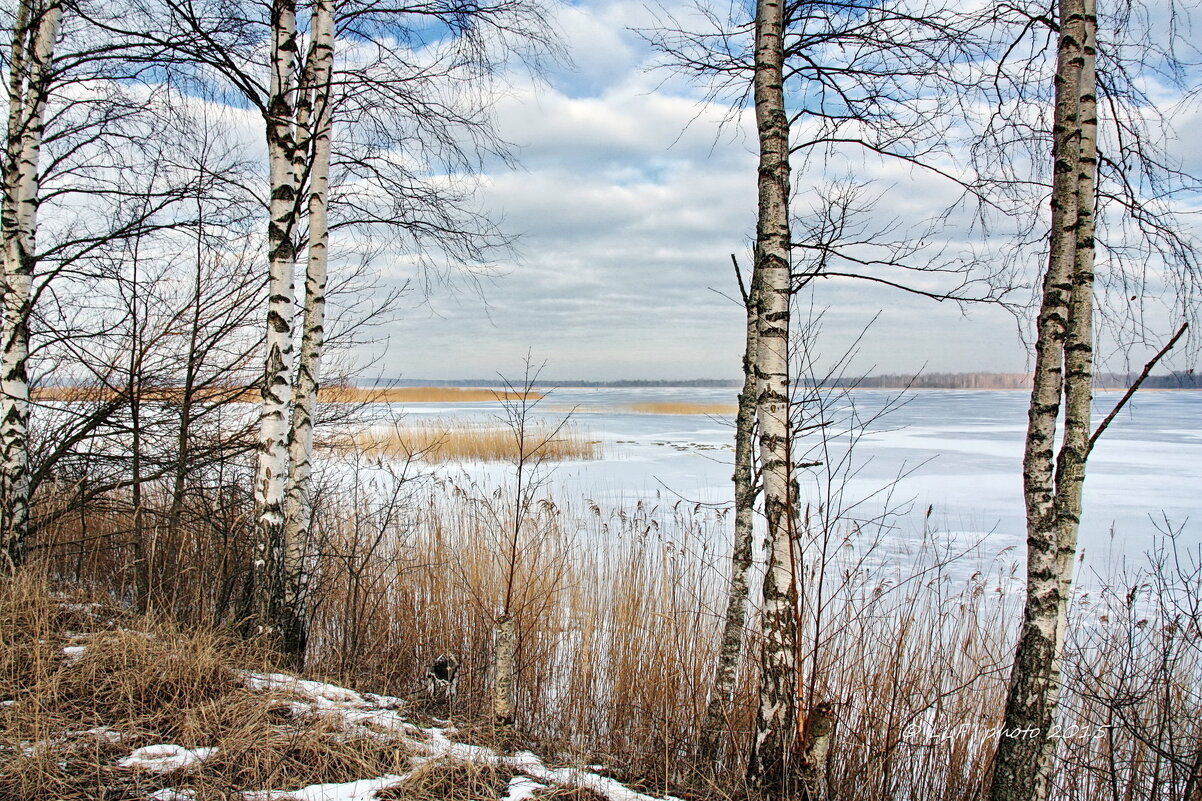 Вид на озеро - Liudmila LLF