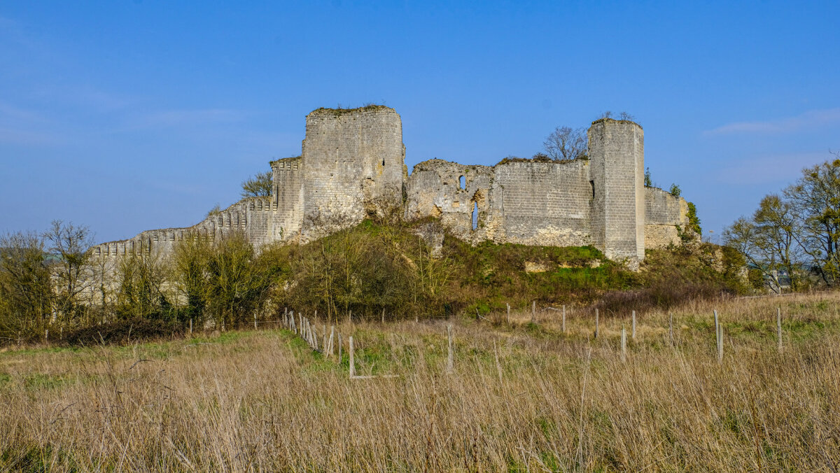 Замок Монтуар-сюр-ле-Луар (общий вид) XI век - Георгий А