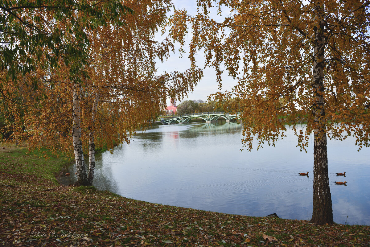 Осень в Царицыно - Василий Колобзаров