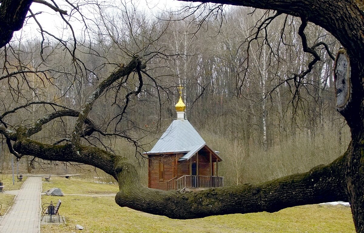 Александра Невского часовня-купальня - Фёдор Меркурьев