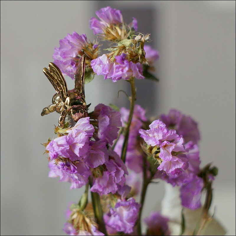 Золотая пчела - Сеня Белгородский