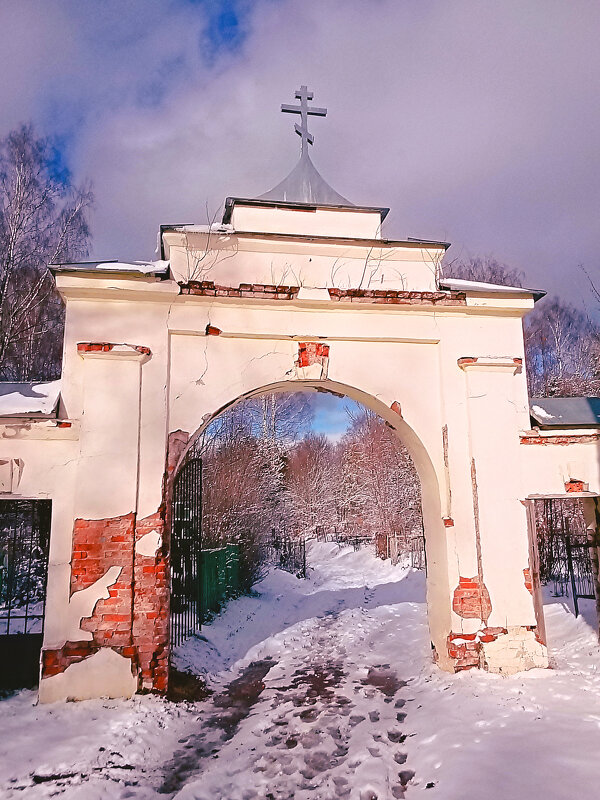 Ворота на погост - Сергей Кочнев
