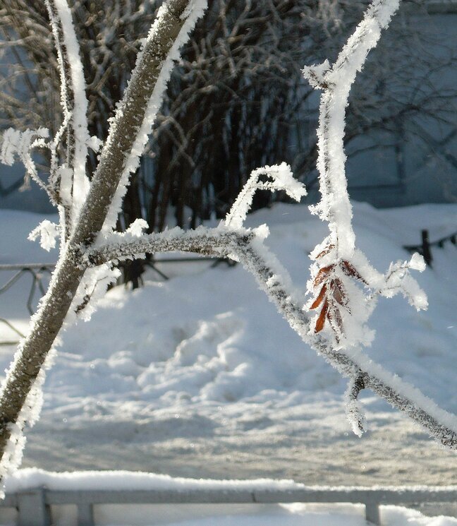 Снежок в начале апреля выпал - Вера Щукина