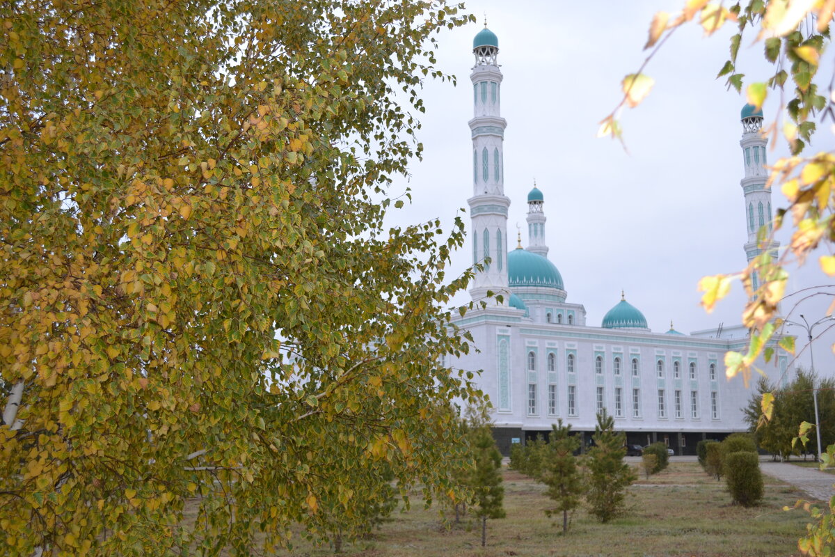 Мечеть. Караганда - Андрей Хлопонин
