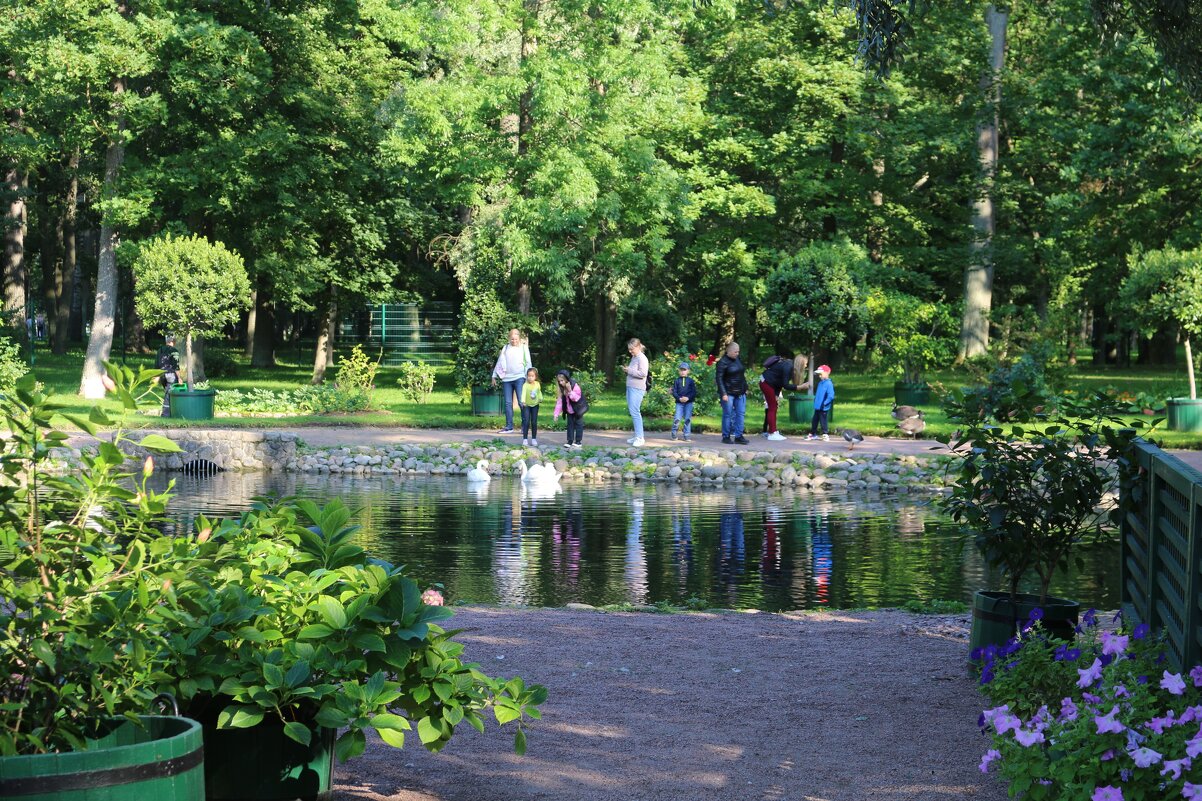 Лето в парке Петергофа - Ольга 