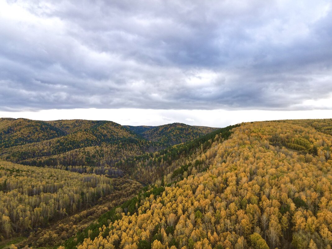 Природа - Александр Шкуратенко