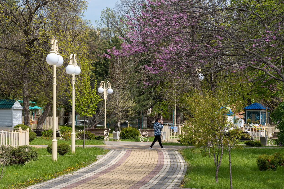 Городской парк - Игорь Сикорский