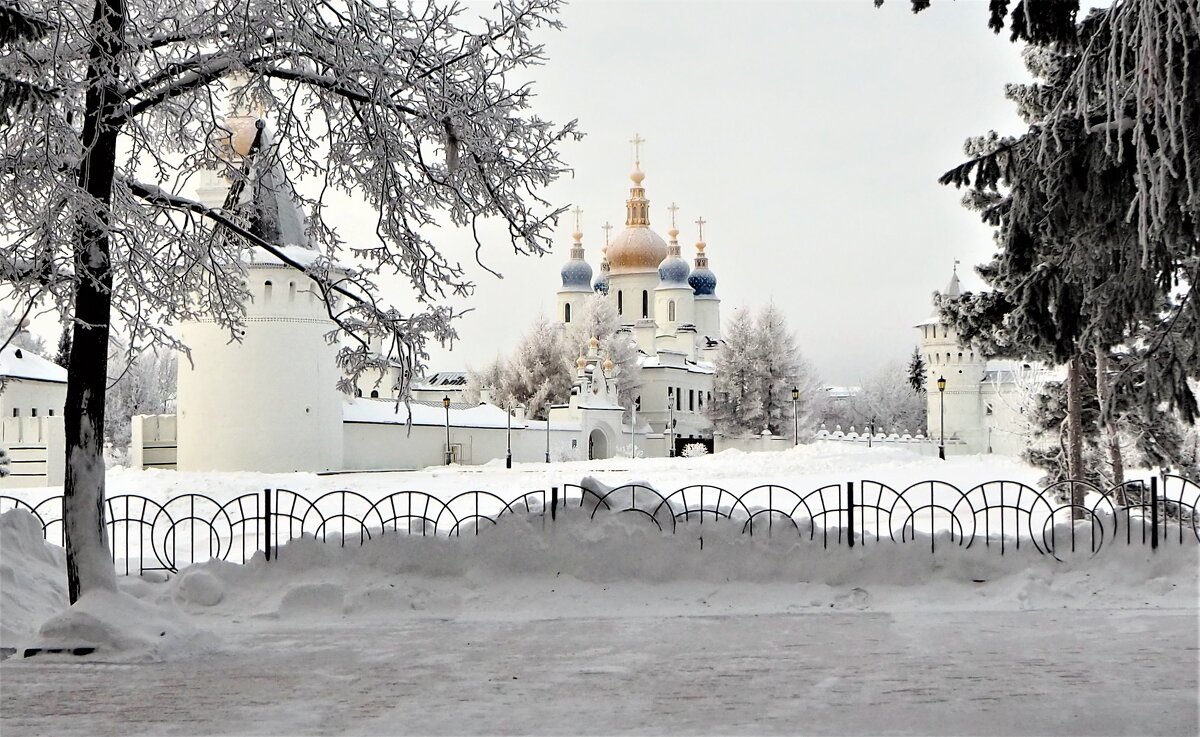 Софийский собор Тобольского кремля - Василий Кутовой