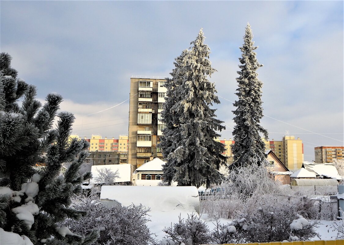 Тобольск - Василий Кутовой