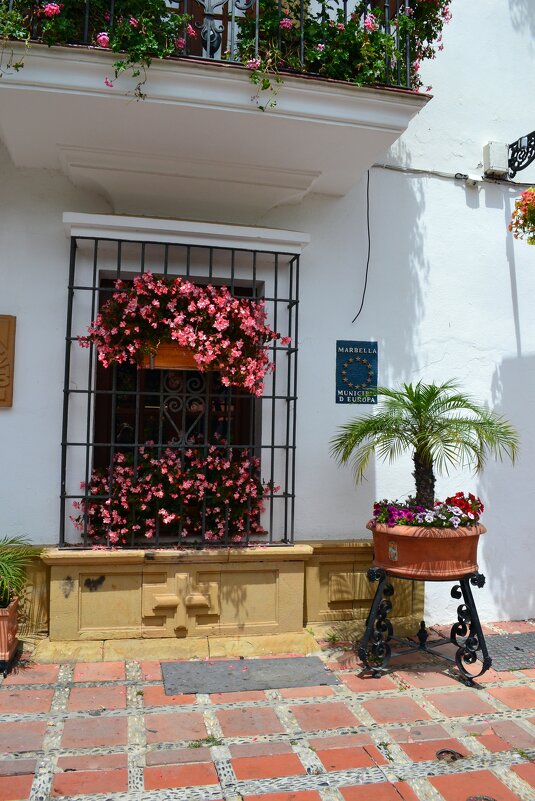 Цветы на испанских улочках - Ольга 