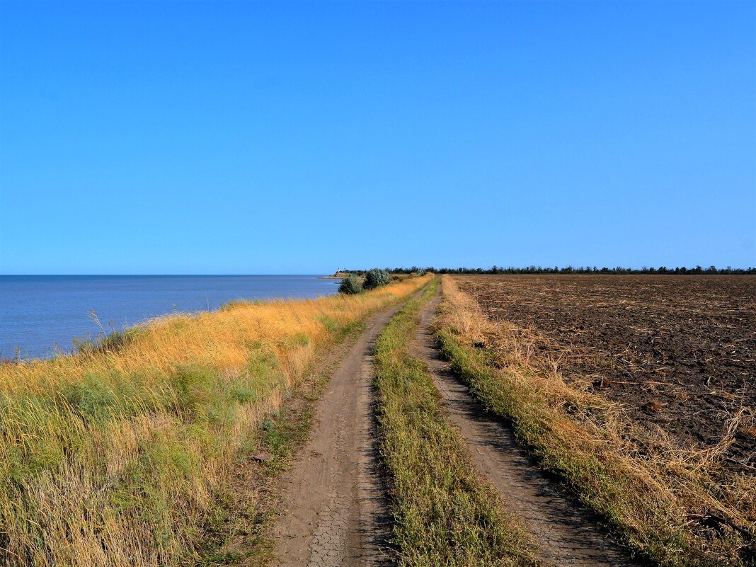 Приморско-Ахтарск. Полевая дорога у береговой кромки Азовского моря. - Пётр Чернега