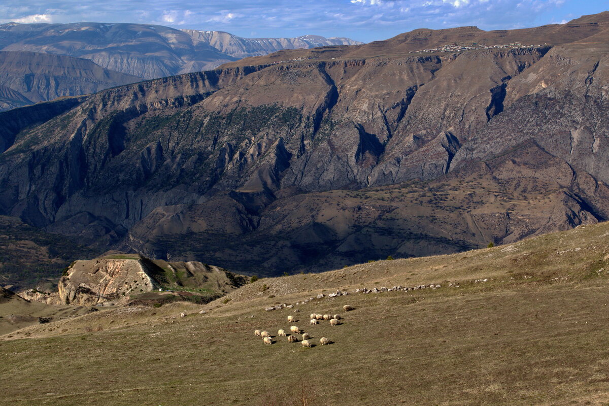 Горный пейзаж с овечками - M Marikfoto