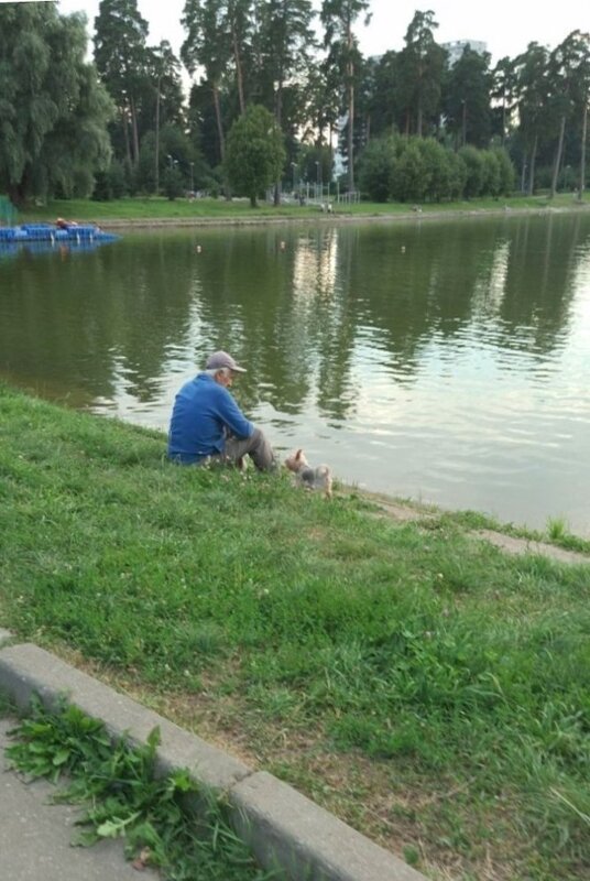 Думы о былом... - Ольга Григ