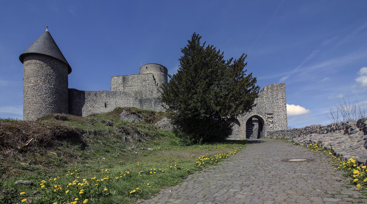Замок - Alexander Andronik