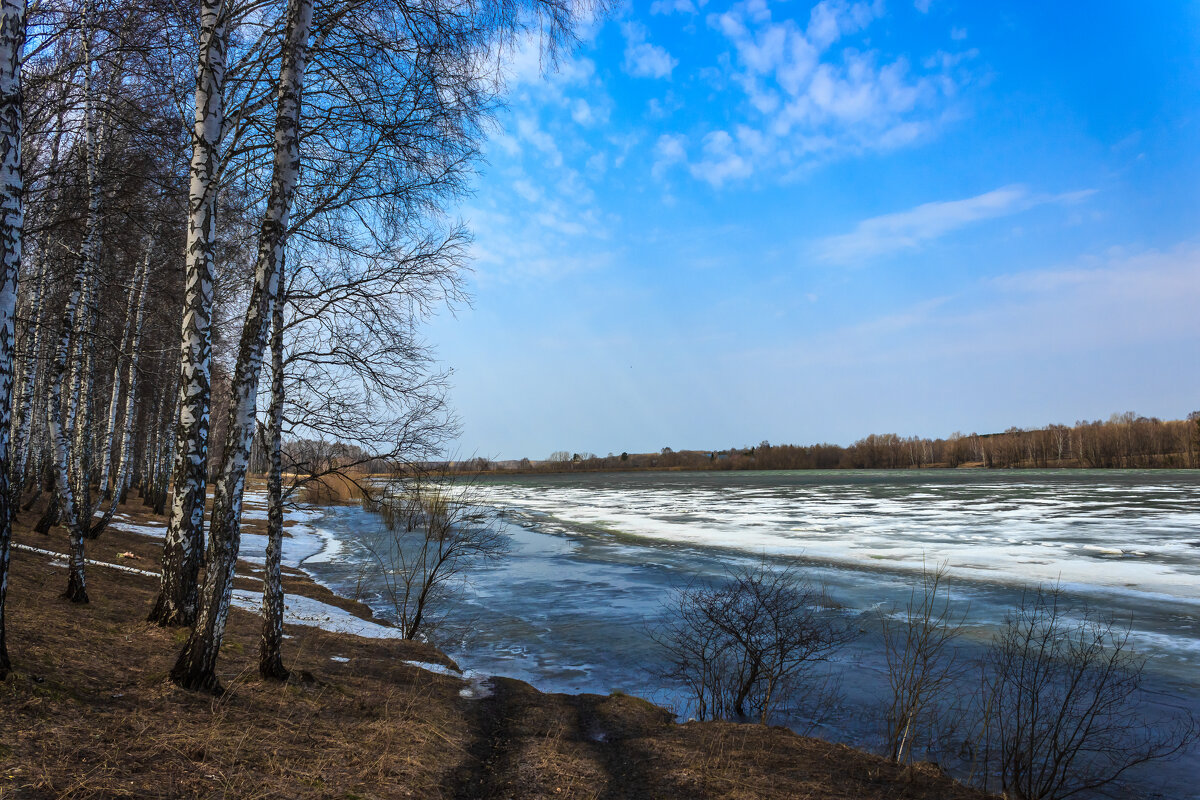 Весной на берегу озера - Сергей Борисович 