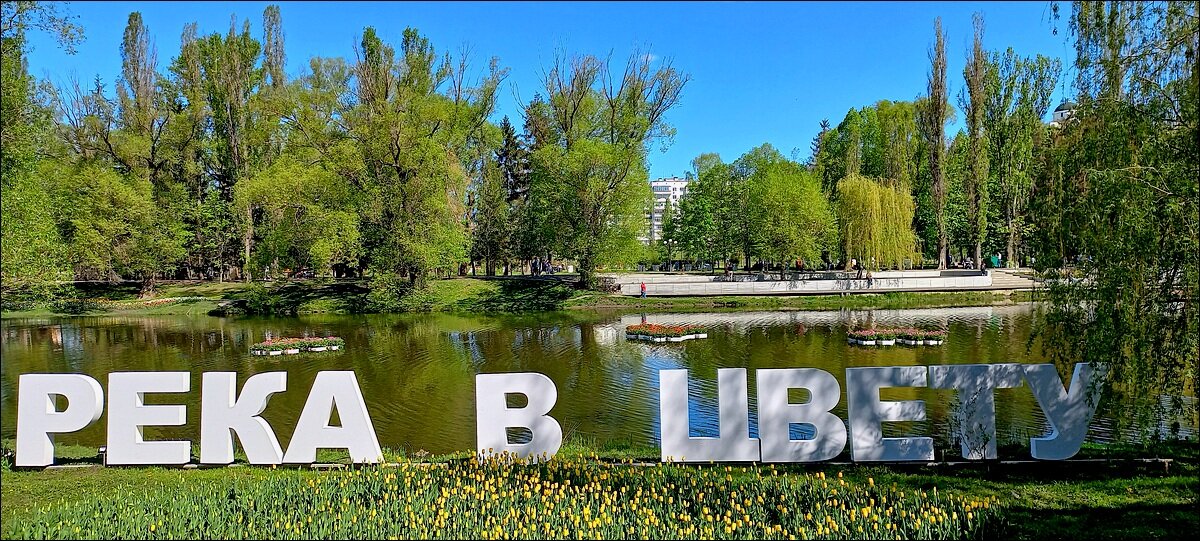 Фестиваль в Белгороде - Сеня Белгородский