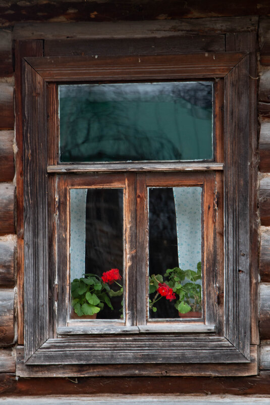 Герань на окне - Татьяна Панчешная