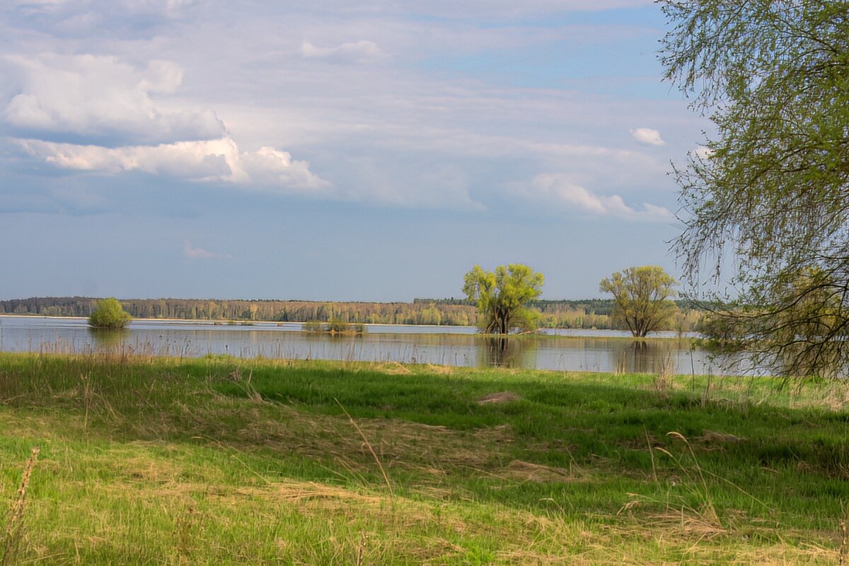 Беларусь, половодье, река Днепр - Игорь Сикорский