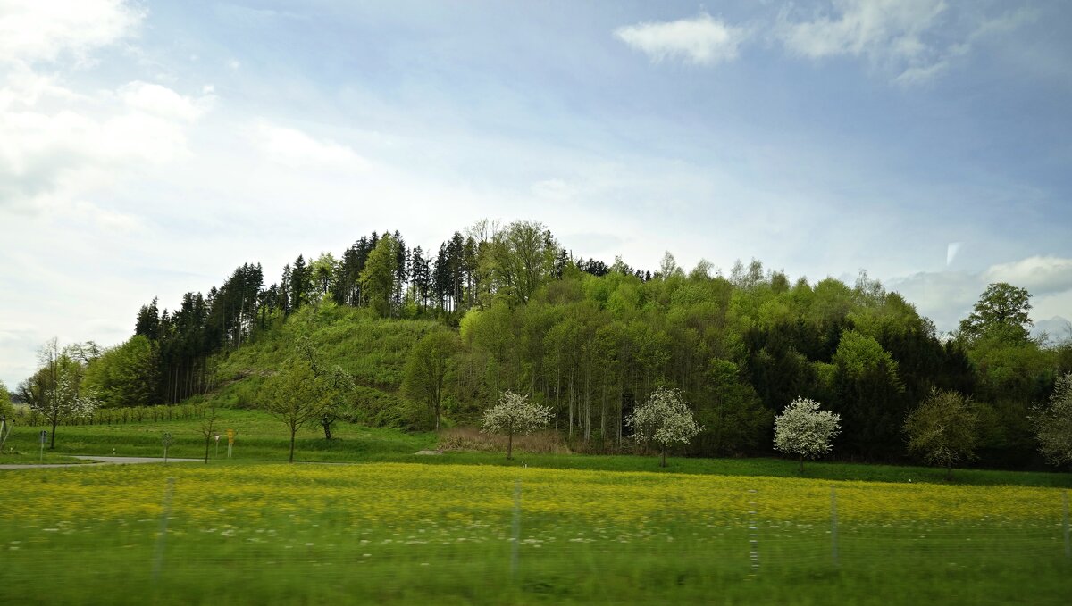Апрель...Весна...Бавария....проездом - Galina Dzubina