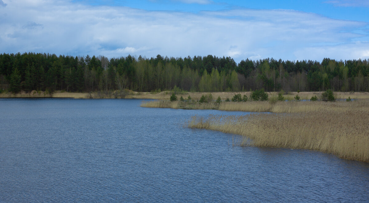 Small quarry near the forest in May | 2 - Sergey Sonvar