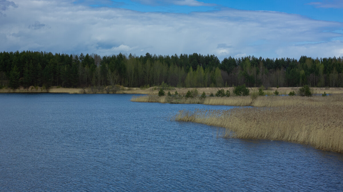 Small quarry near the forest in May | 8 - Sergey Sonvar