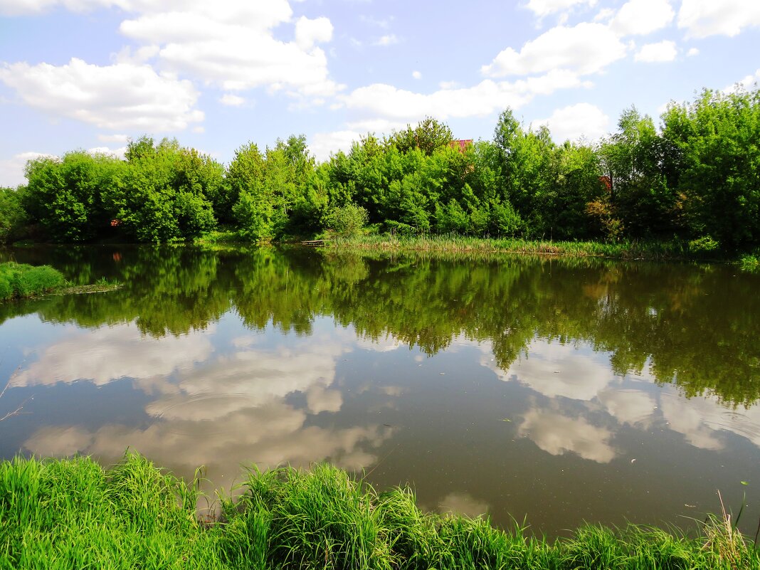 Река с отражением - Андрей Снегерёв