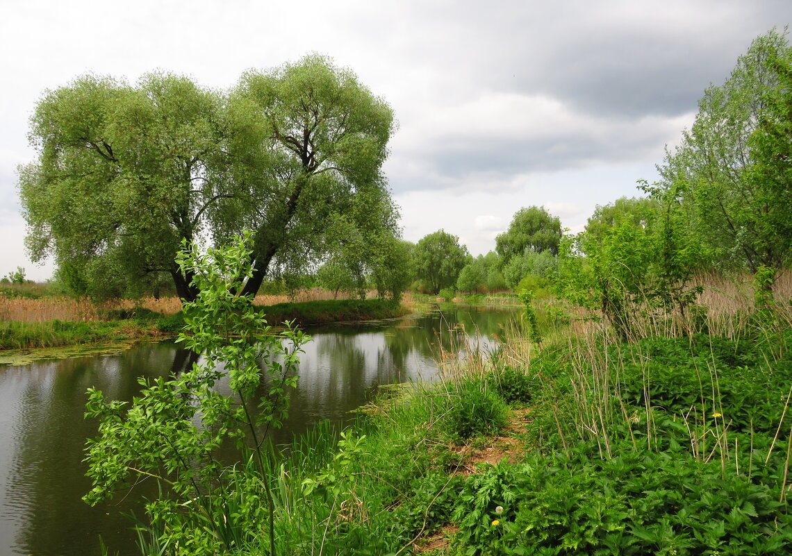 На городской речке - Андрей Снегерёв