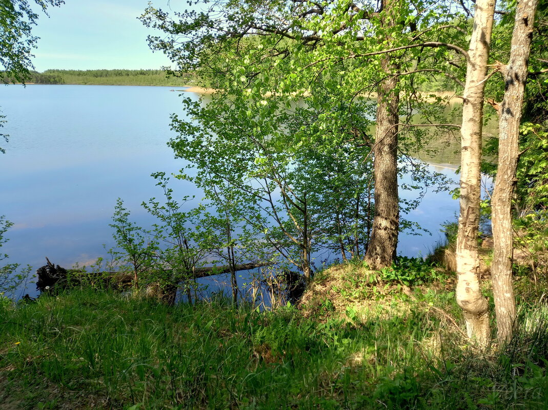Озеро Консу - veera v