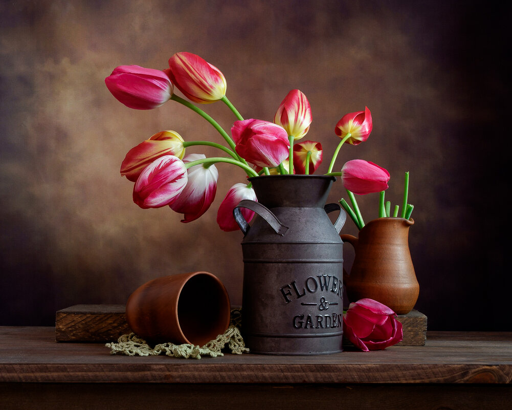 Тюльпаны - Александр 