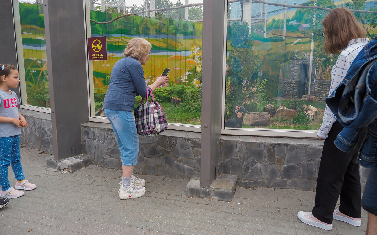 В Московском Зоопарке - юрий поляков