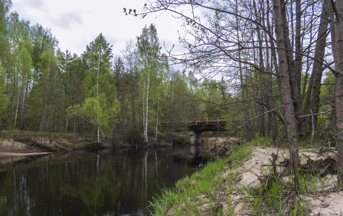 Речка Дорогуча разделяет Нижегородскую обл и Марий-Эл - Сергей Цветков