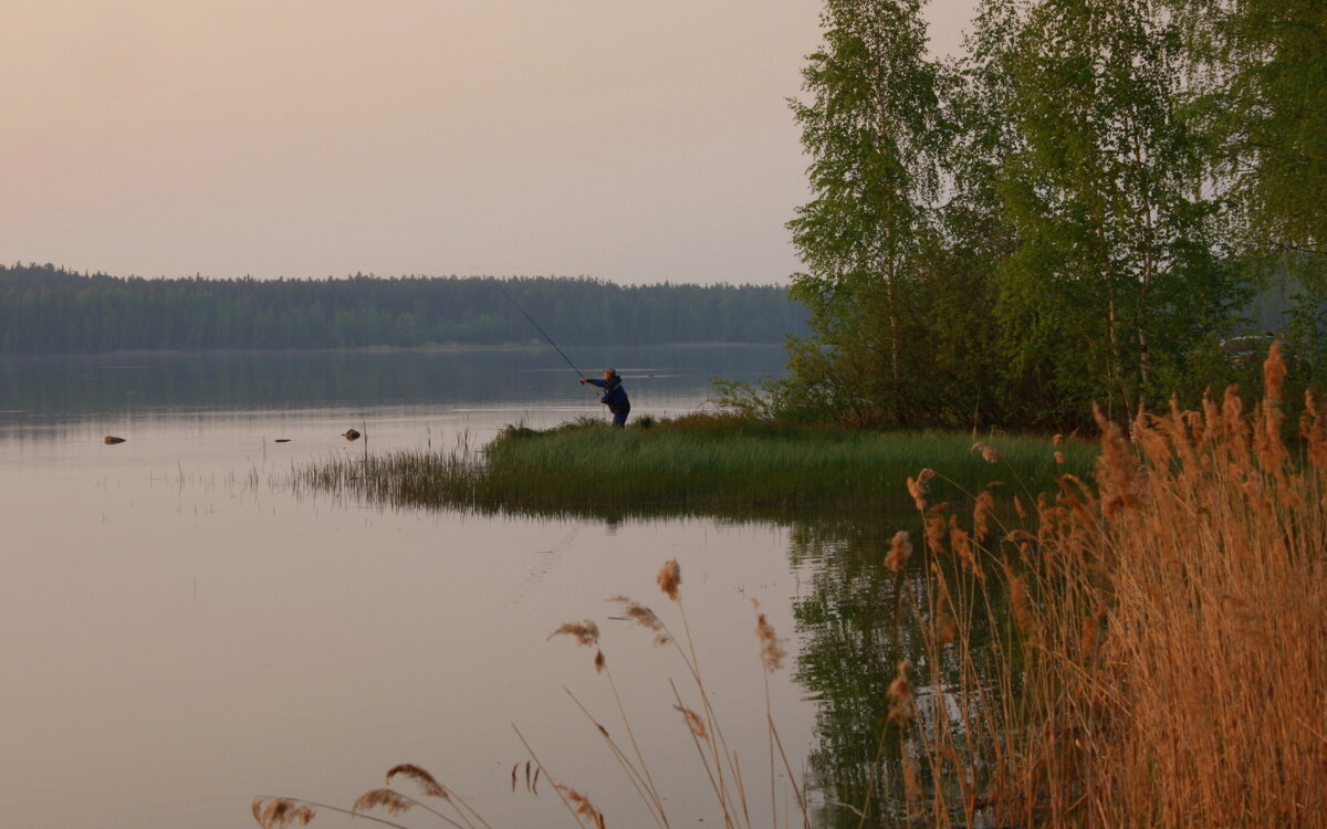 Вечерняя рыбалка - Нэля Лысенко