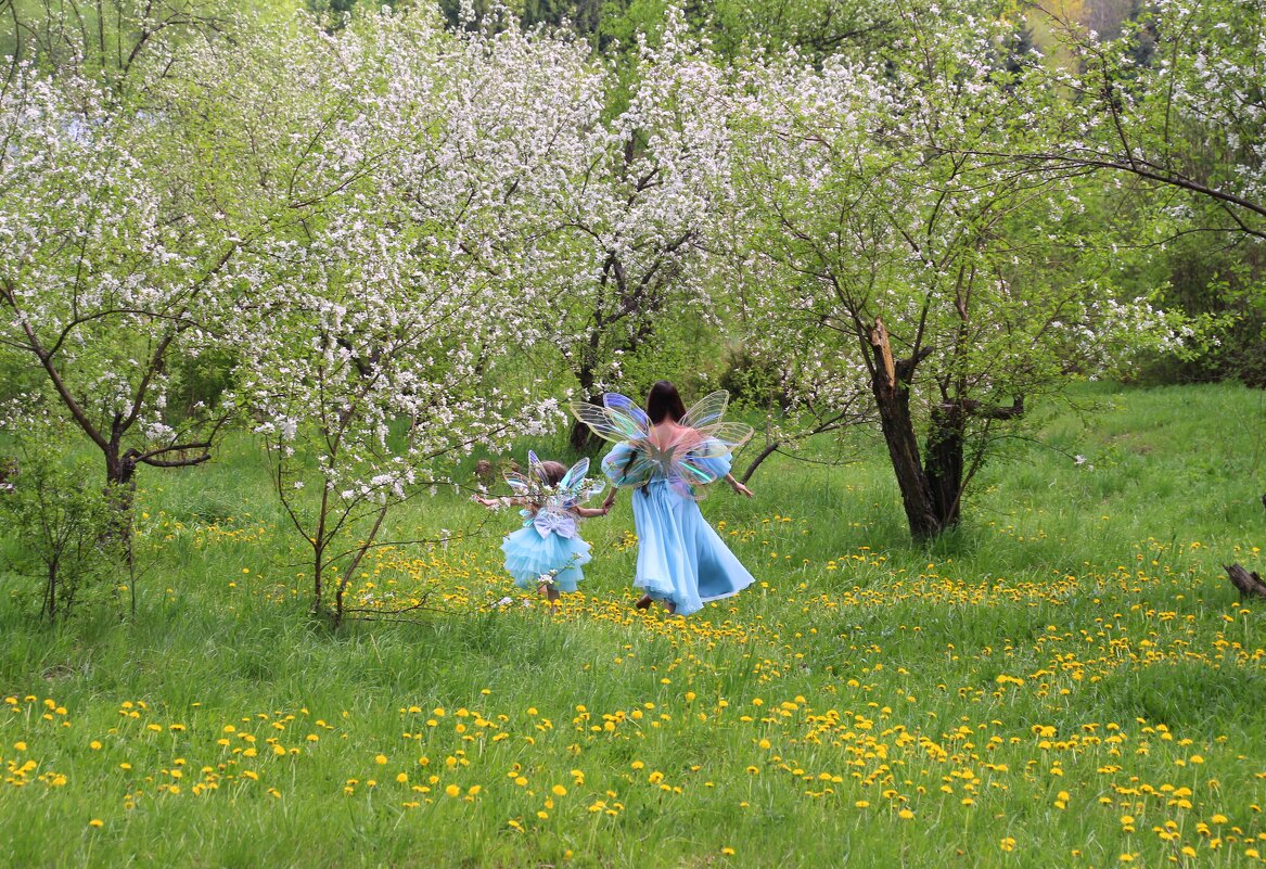 Видение-весна уходит - владимир тимошенко 