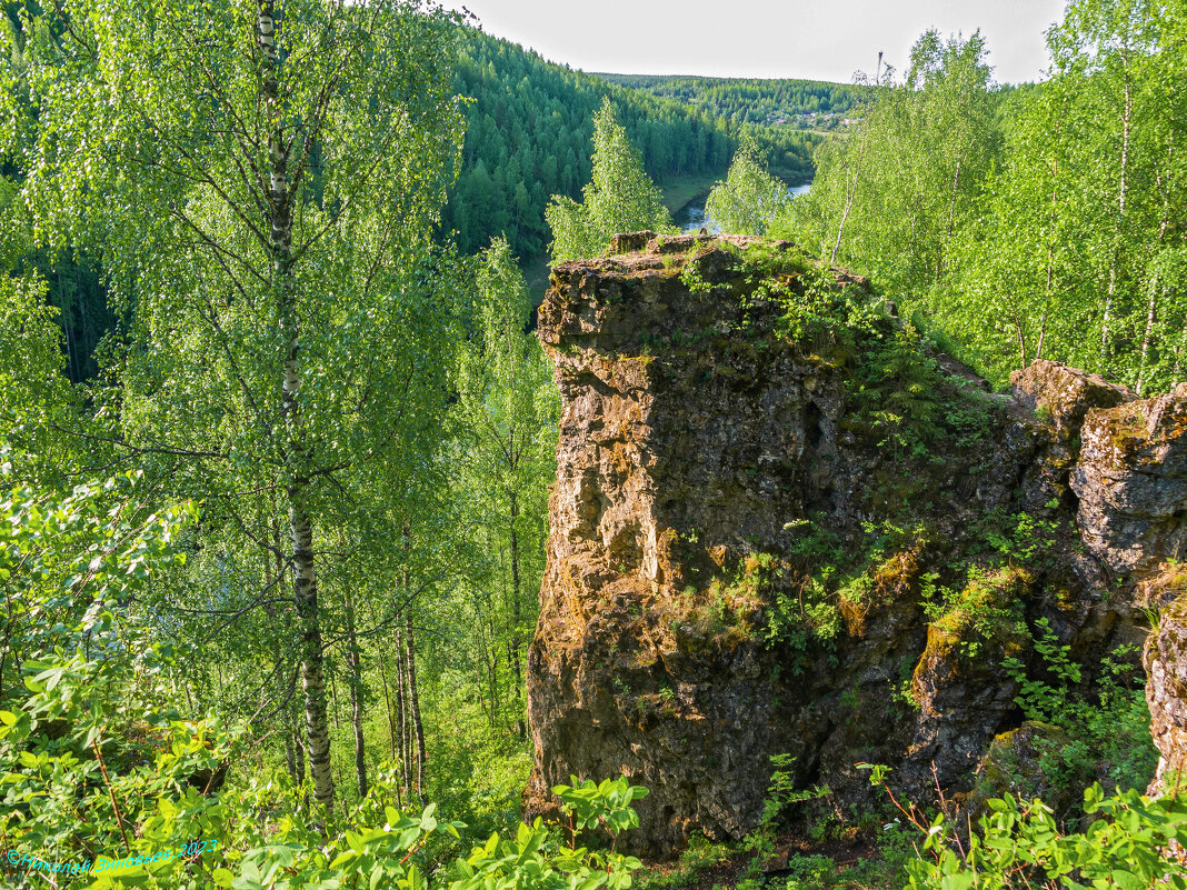 Древний морской риф среди тайги на реке Сьӧд ю (Седъю), оставшийся в виде формы выветривания. Коми - Николай Зиновьев