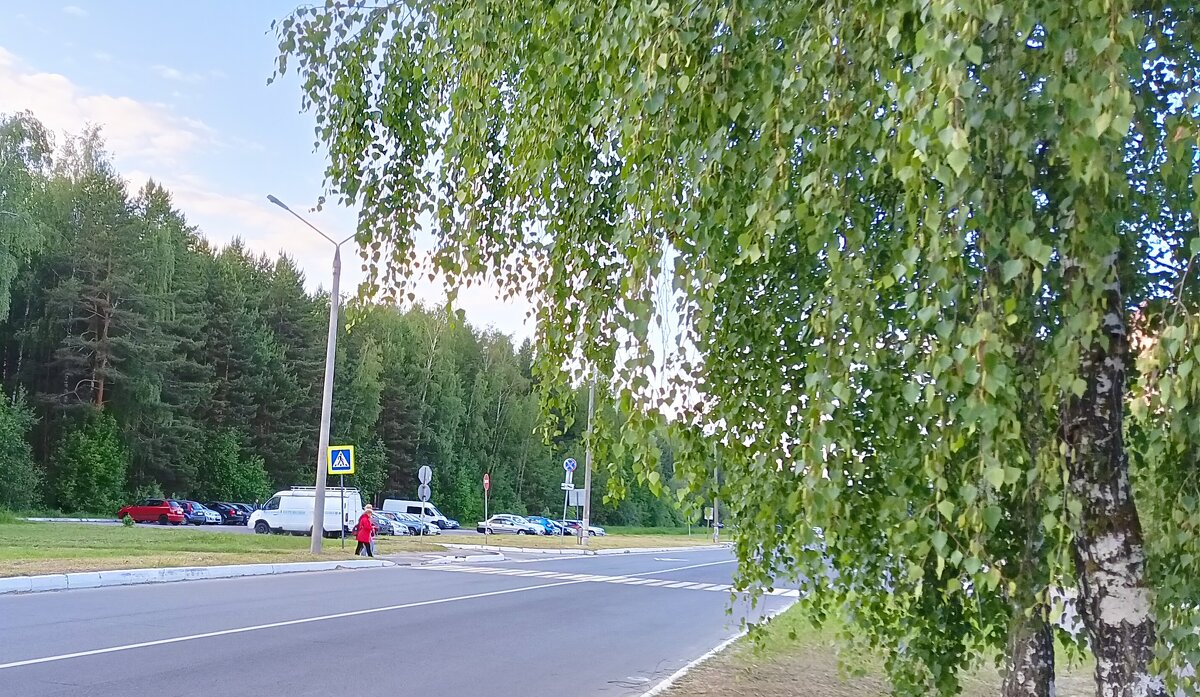 пешеходный переход - Владимир 