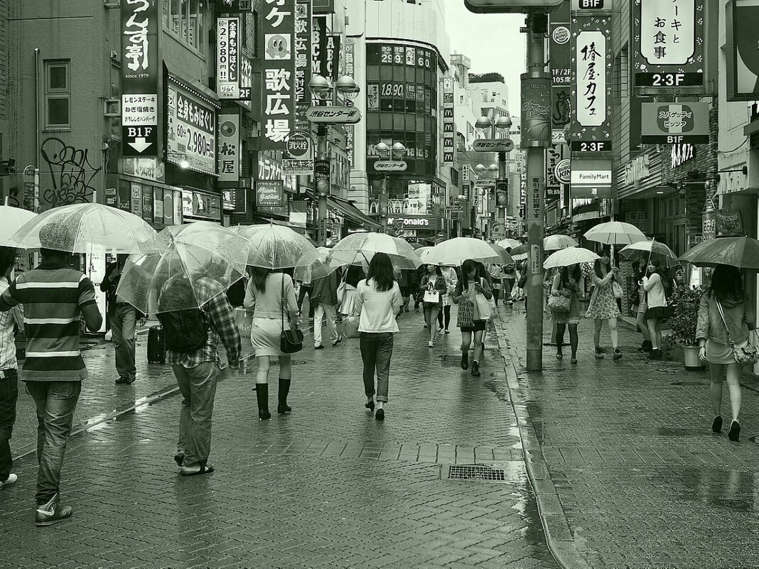 Зонтичный сезон Токио Япония - wea *