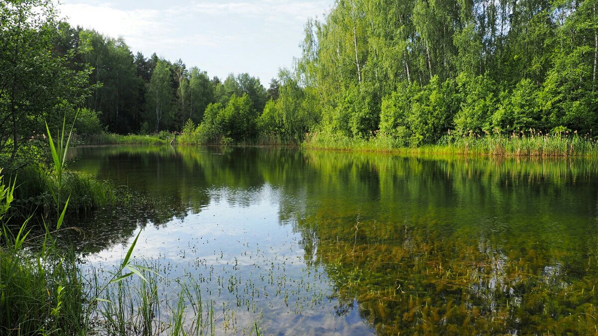 Природа Смоленщины (репортаж из поездки по области). - Милешкин Владимир Алексеевич 