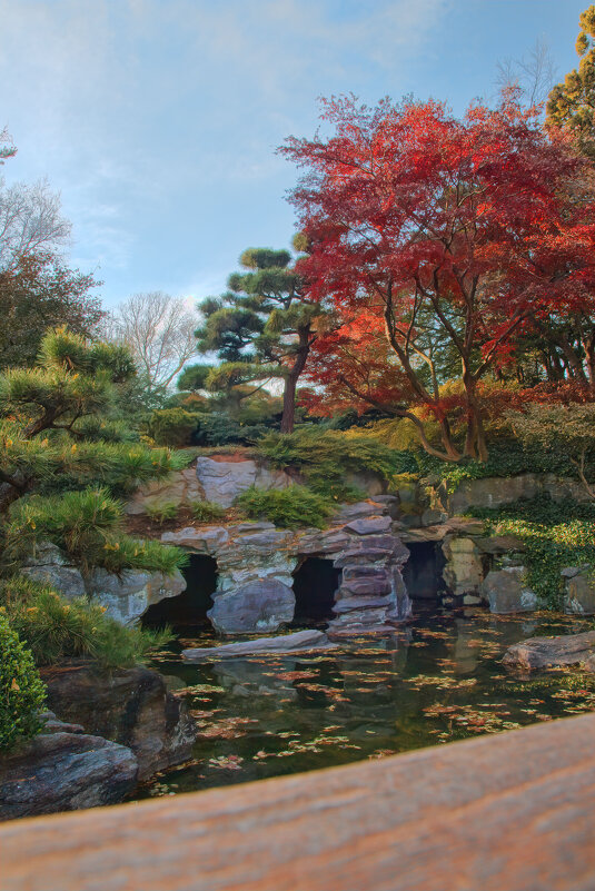 Осенние краски черепашьего пруда в Бруклинском ботаническом саду - Олег Чемоданов