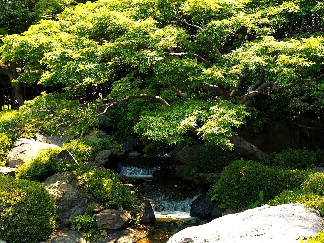 Водопад в японском саду Фукуока Япония - wea *