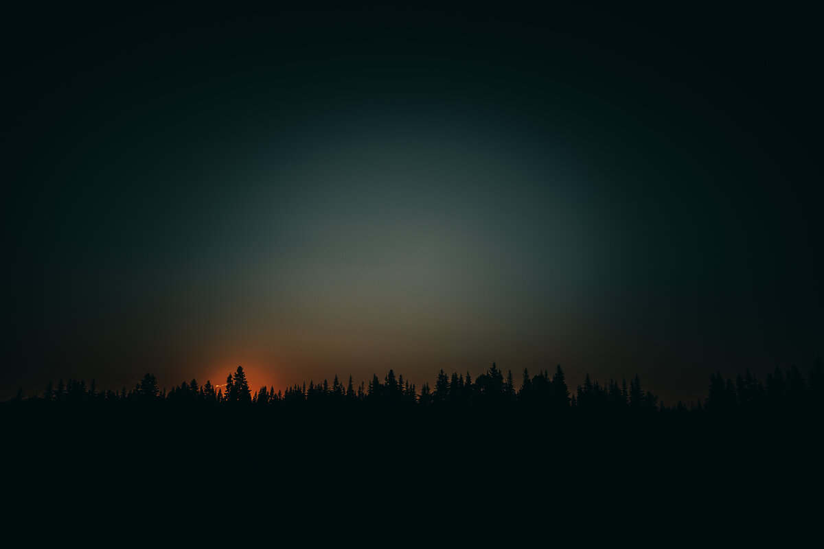 Закат в лесу - Станислав Брисач