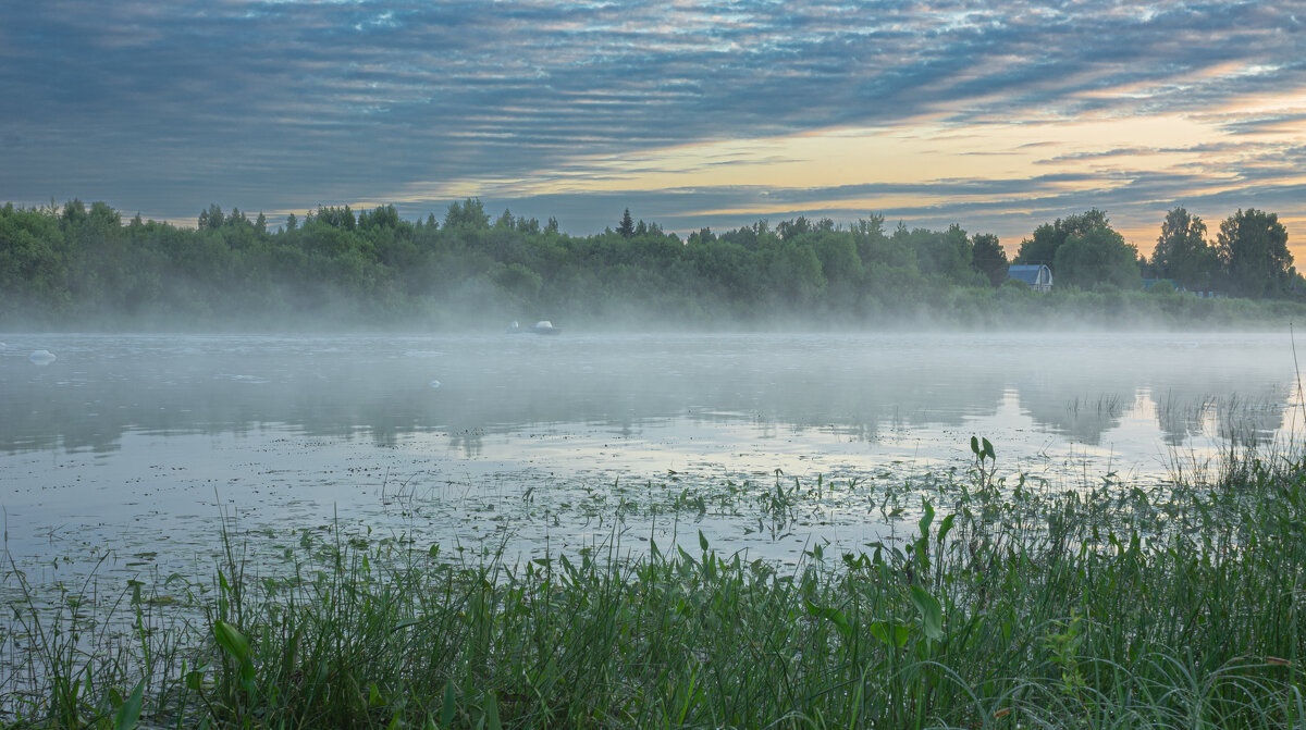 June morning near the Sukhona River | 5 - Sergey Sonvar
