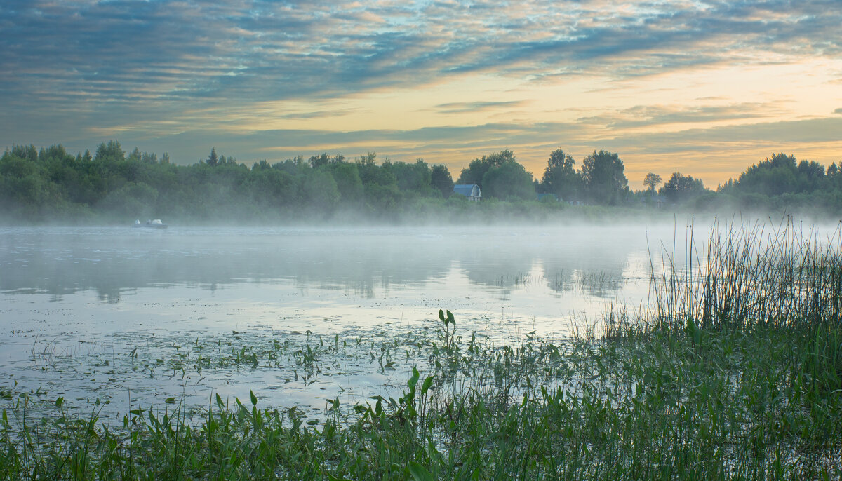 June morning near the Sukhona River | 13 - Sergey Sonvar