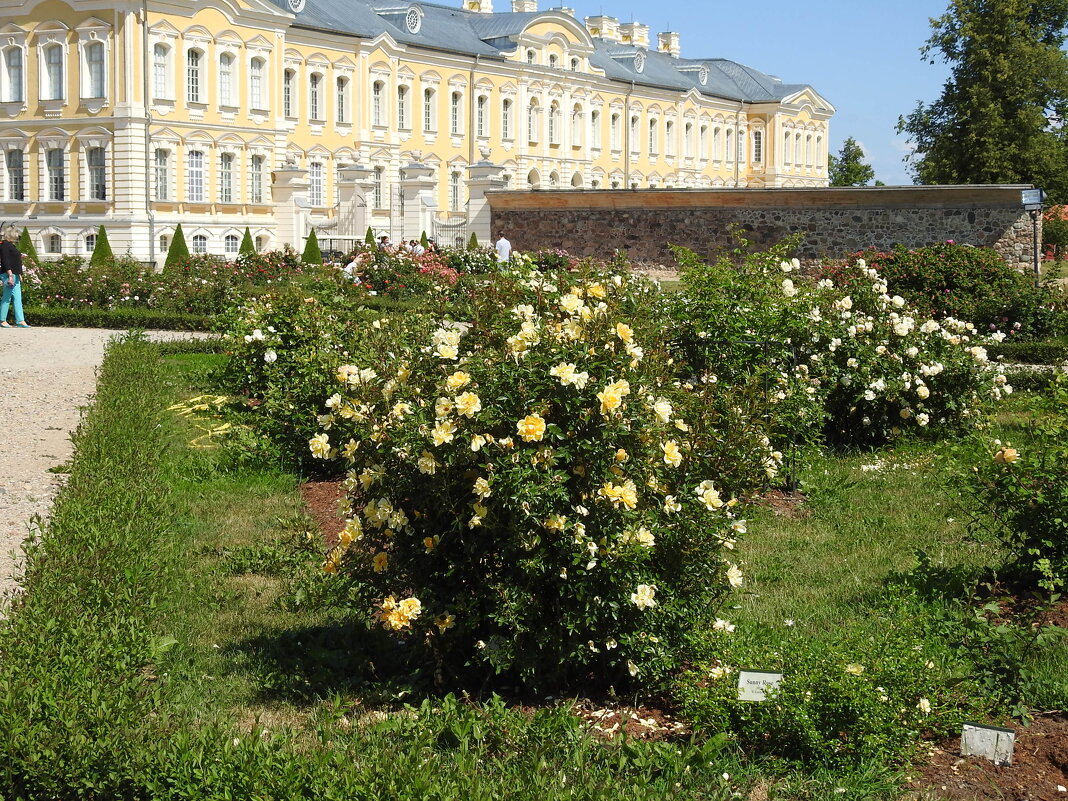 парк Рундальского дворца - ИННА ПОРОХОВА