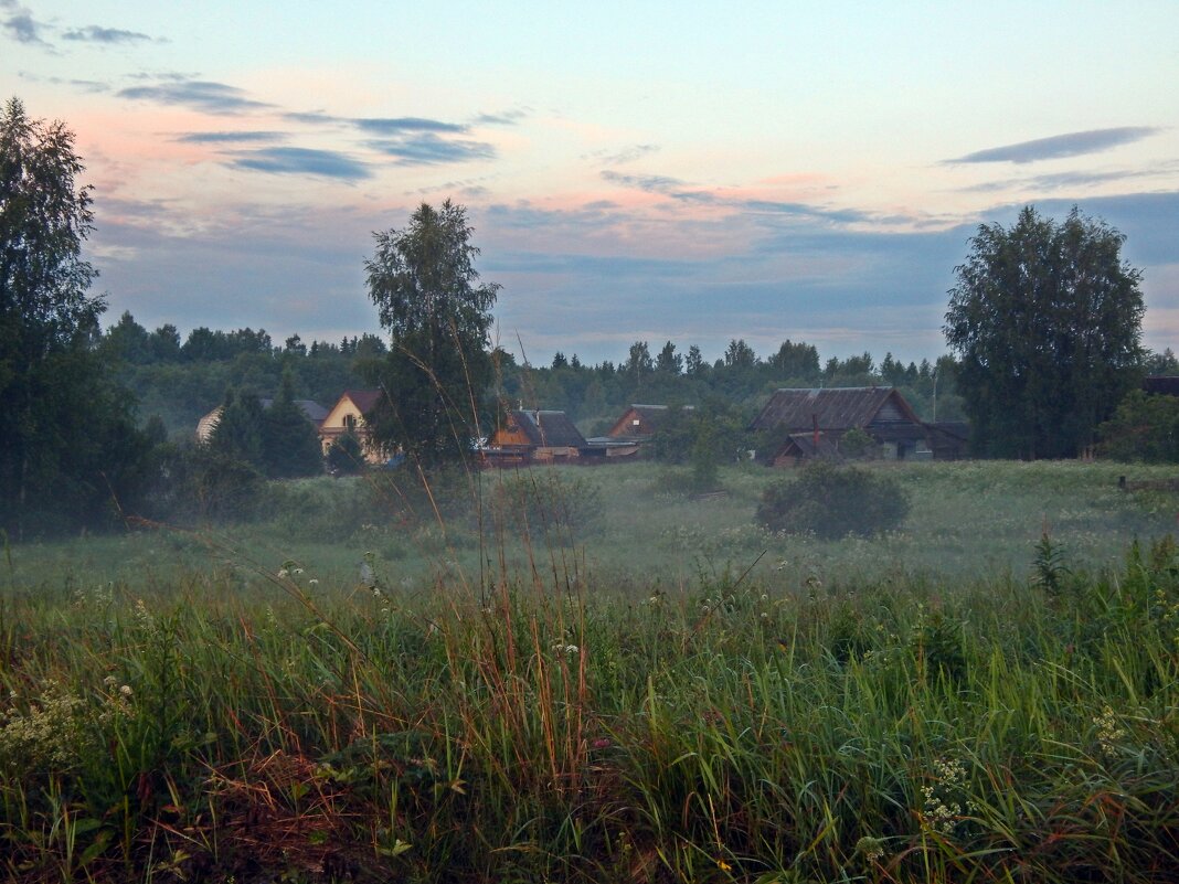 Белая ночь в деревне - Юрий Пучков