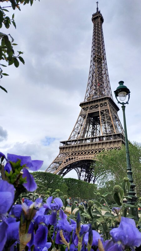 Эйфелева башня в Париже - Гуля Куценко