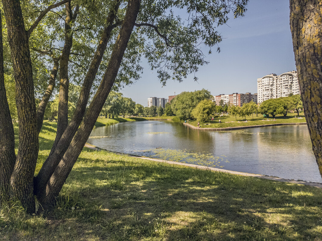 Пейзаж в парке Яблоновка в Невском районе Петербурга - Стальбаум Юрий 