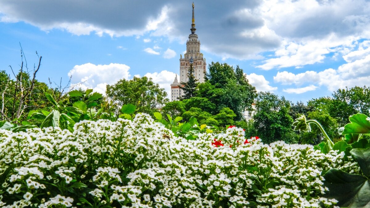 МГУ со стороны Ботанического Сада - Георгий А